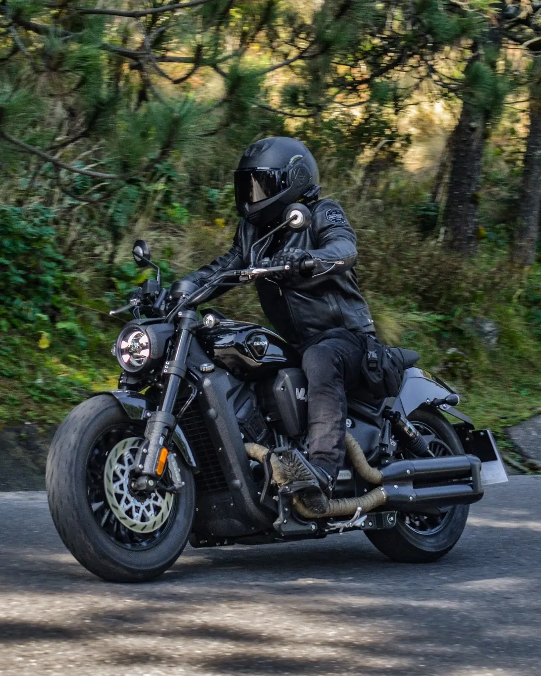 d1 motorcycle image