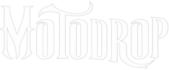 Logo of the website